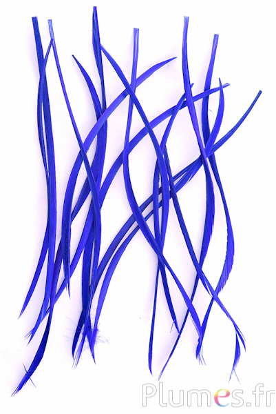 Oie strippé  - 10-17 cm - bleu 